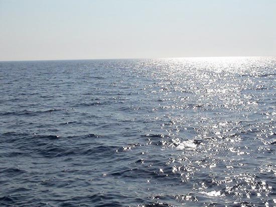 Greenpeace: impatto umano sul mare, a rischio l