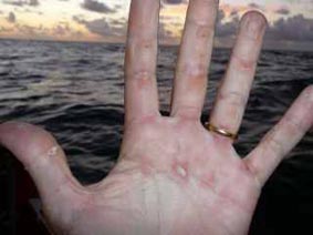 Sul Pacifico in barca a remi, il diario di bordo di Alex Bellini dopo 28 giorni di mare