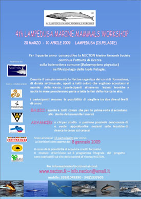 Necton presenta il 4th Lampedusa Marine Mammals Workshop